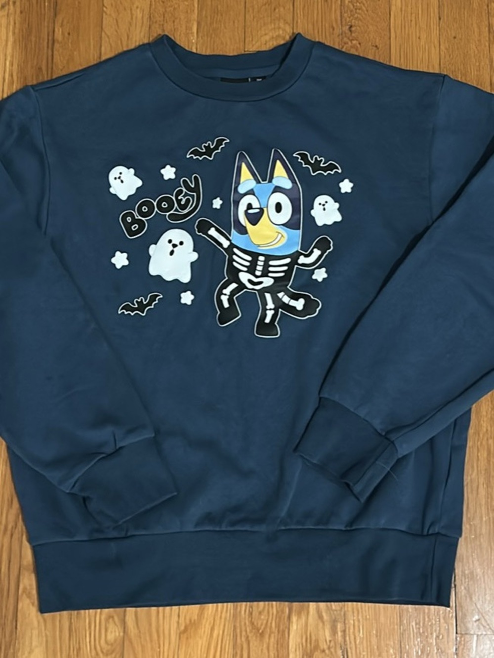 Bluey Graphic Halloween Sweatshirt